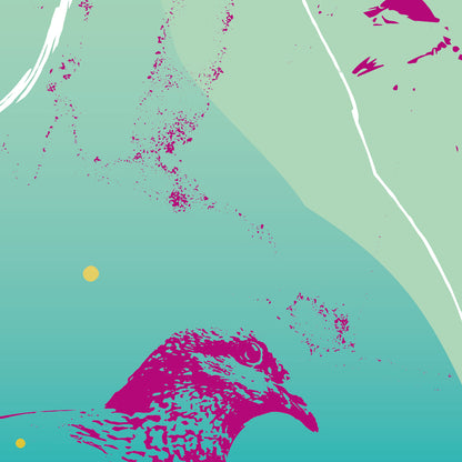 Bloody pigeons - Milan