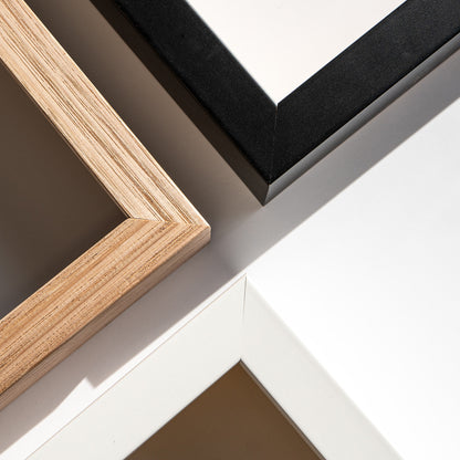 Bloody pigeons - Milan